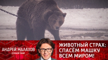 Животный страх: спасем Машку всем миром!