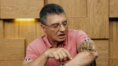 Эфир от 21.12.2025