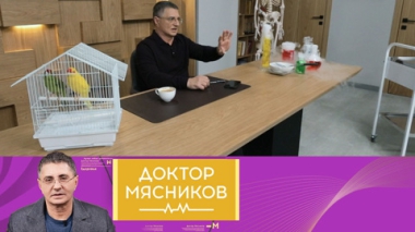 Эфир от 25.05.2025