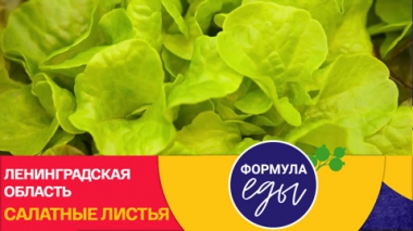 Формула еды. Ленинградская область. Салатные листья