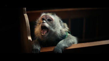 Индустрия кино. На большие экраны выходит Красавица