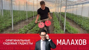 Маленькие хитрости для вашей дачи