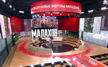Малахов. Медведи атакуют! Спасаться или спасать?