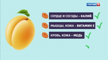 Эфир от 07.11.2019