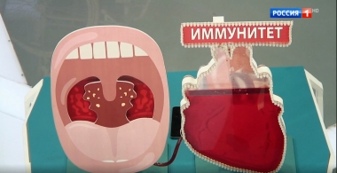 Эфир от 11.12.2019