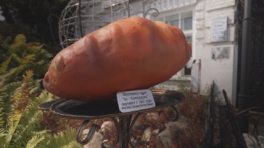 Кинешма волжская