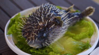 Смертельный деликатес