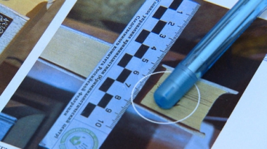 Особо опасная внучка