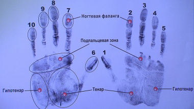 Расследование Эдуарда Петрова. Убийственные доказательства