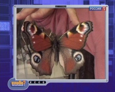 Эфир от 01.07.2012