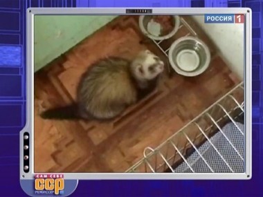 Эфир от 02.10.2011