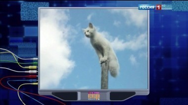 Эфир от 03.07.2016