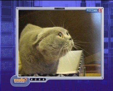 Эфир от 13.05.2012