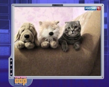 Эфир от 21.10.2012