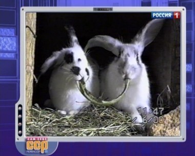 Эфир от 23.12.2012