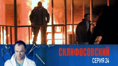 Серия 24