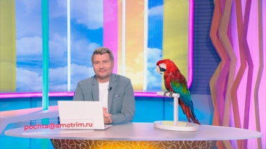 Эфир от 22.02.2026