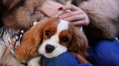 В кругу друзей. Эфир 08.03.2026