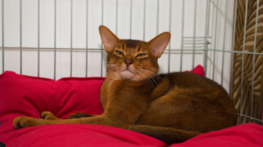 В кругу друзей. Эфир 15.03.2026