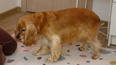 В кругу друзей. Эфир 26.04.2026