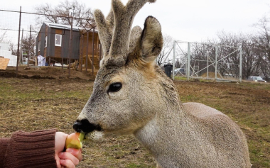 В кругу друзей. Эфир 29.03.2026