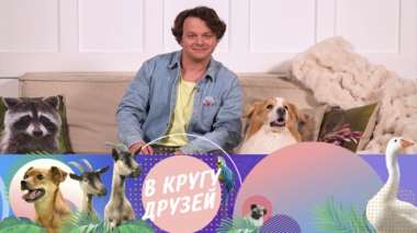 Эфир от 08.06.2025