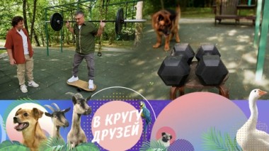 В кругу друзей. Эфир от 10.08.2025