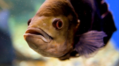 Эфир от 18.01.2026