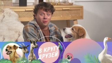 Эфир от 19.10.2025