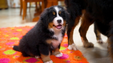 Эфир от 23.11.2025