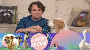 Эфир от 25.05.2025