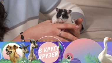 Эфир от 27.04.2025