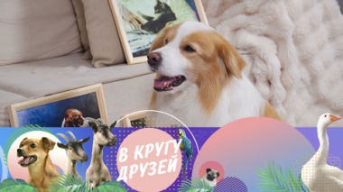 Эфир от 28.09.2025